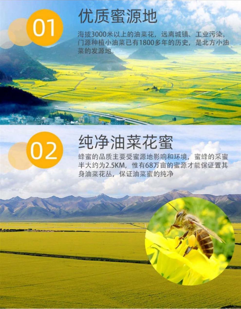 青海特产花宝油菜花蜂蜜青海门源万亩油菜花海纯净土蜜瓶装500g500g一