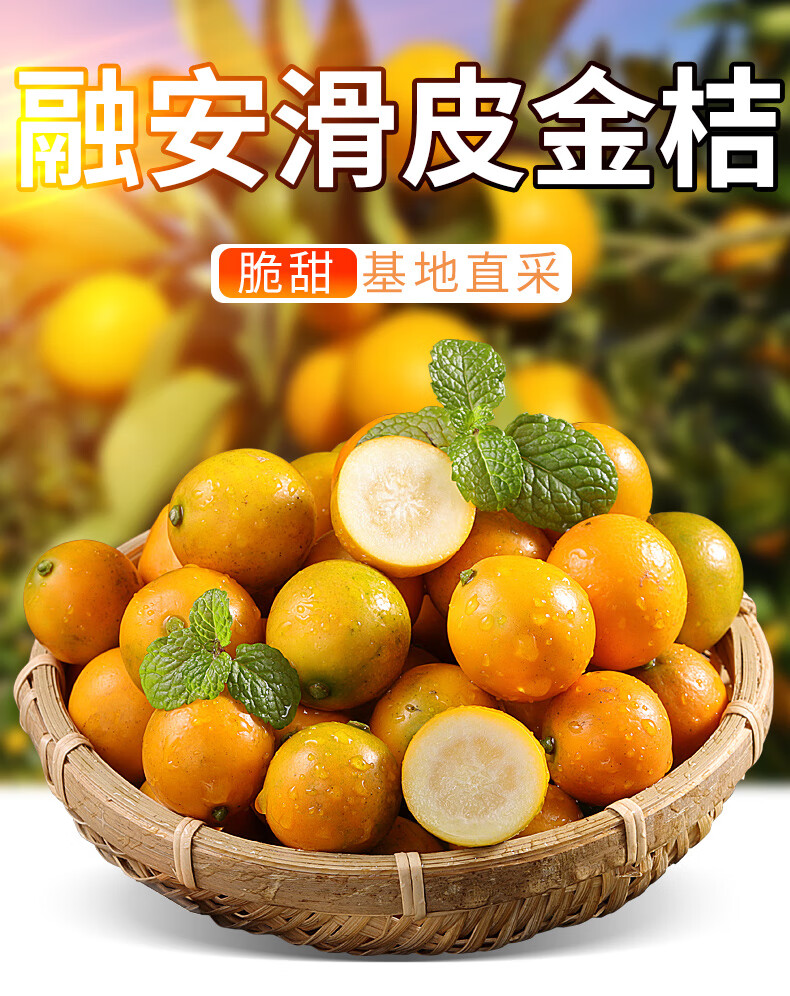广西融安滑皮金桔 顺丰 脆皮金桔新鲜水果脆蜜金柑小金桔子现摘现发