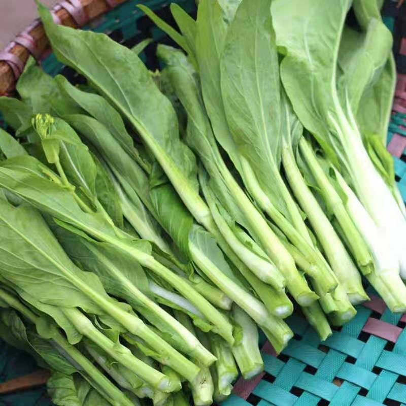 湖北特产打霜新鲜白菜苔农家自种绿菜苔青菜薹菜心时令青蔬菜4斤4斤