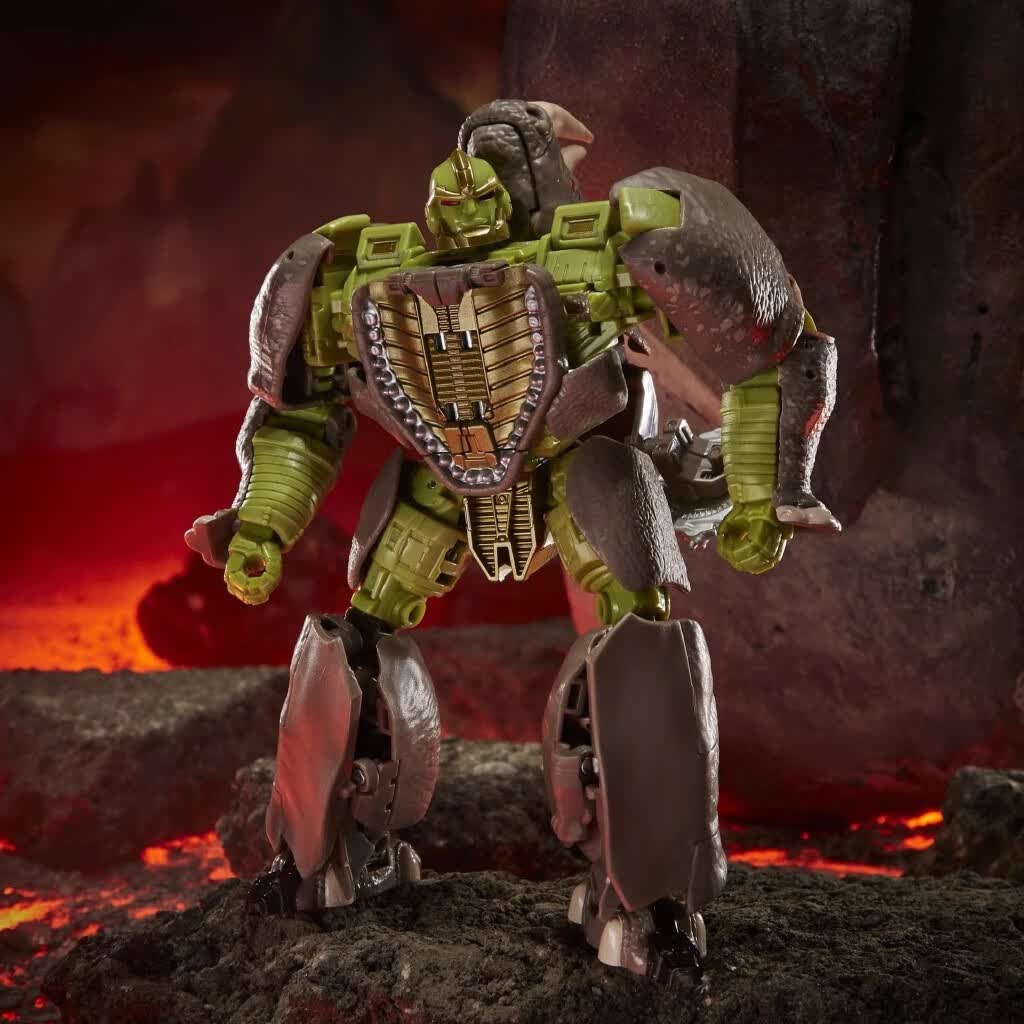 孩之宝变形金刚王国霸王龙白虎擎天圣黄豹犀牛飞箭恐龙勇士蛇鸟 d级黑