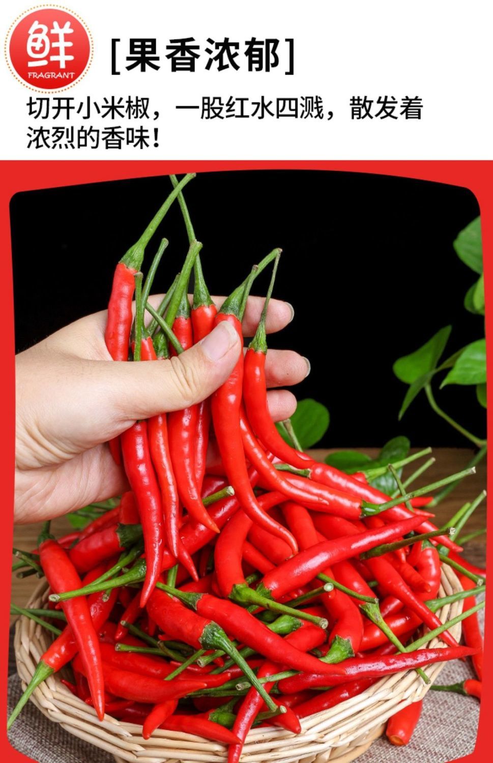 新鲜特辣小米辣朝天椒泡椒 产地直发 店主人工精选净重3斤【图片 价格