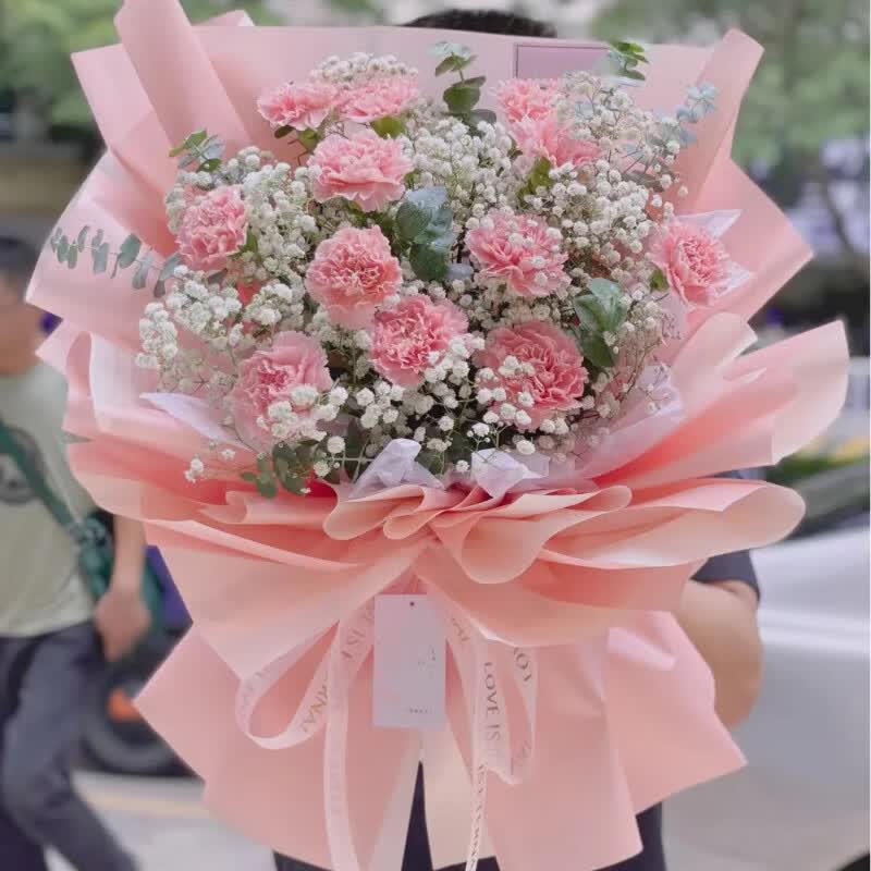 大花喵康乃馨花束蝴蝶兰开花盆栽同城花束鲜花速递配送老人叔叔阿老师