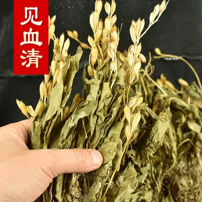 中药材天然500g中草药新鲜干货整颗见血清苗羊耳蒜 500克【图片 价格