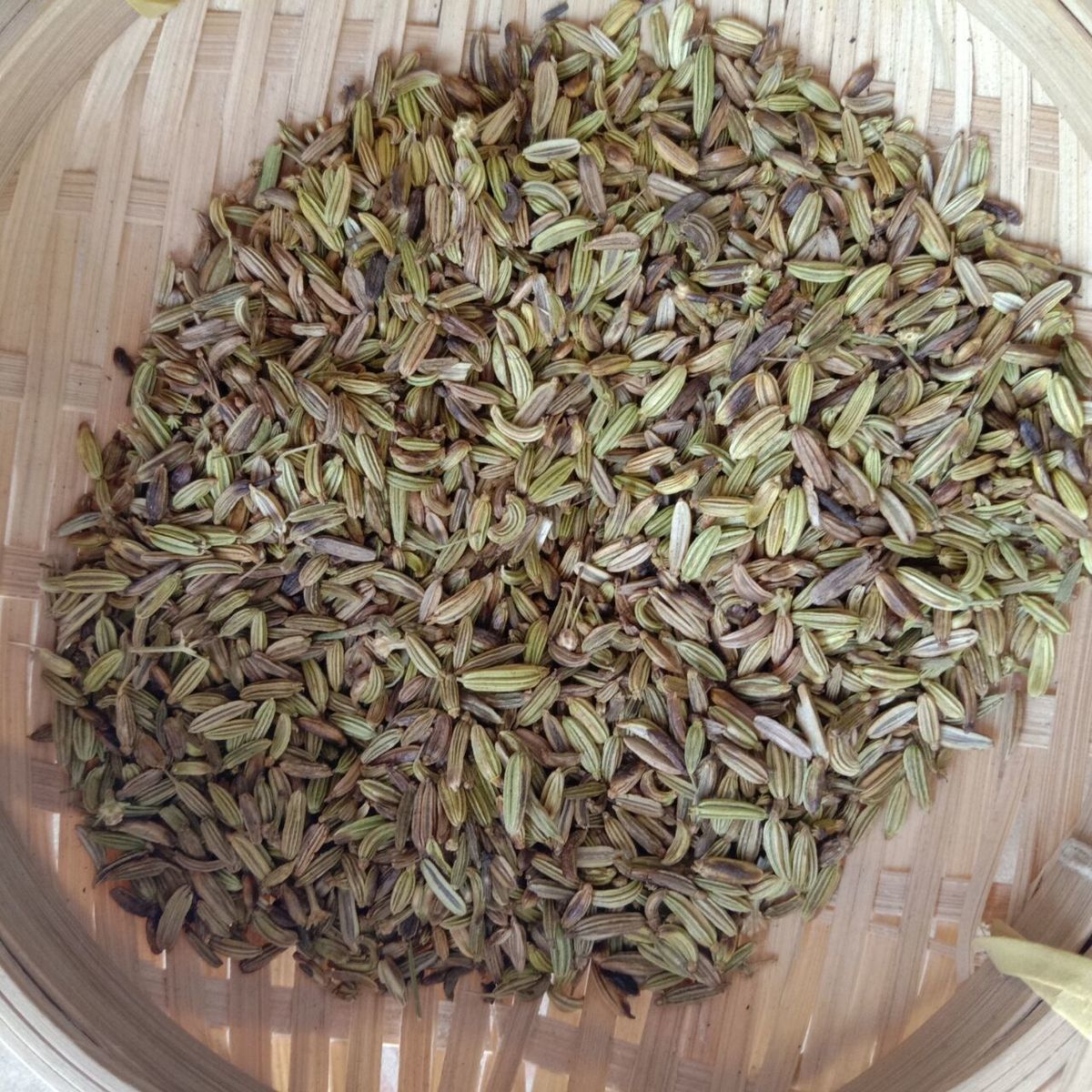 伟博炒小茴香 盐炒茴香500克小回香中药材 新鲜干货干煸小茴香 500g