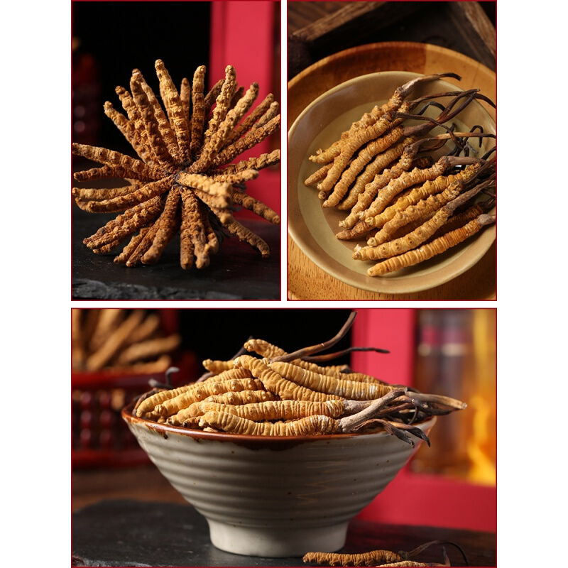 钟氏虫草西藏那曲冬虫夏草头期干草10g干货礼盒4根每克40根【图片