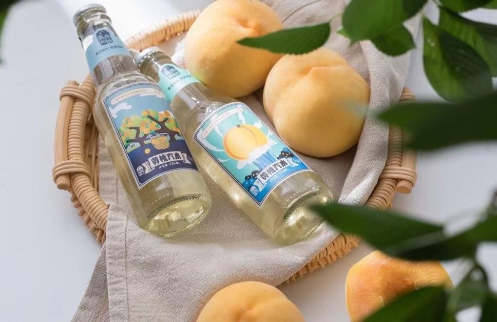 碧山村 火山荔果味汽水 碧山村荔枝汽水6瓶*225ml果味气泡水碳酸饮料