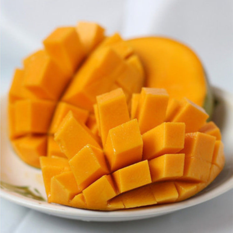 攀枝花凯特芒果新鲜10斤水果吉禄芒大芒果苹果芒凯特芒 实惠小果 9-10