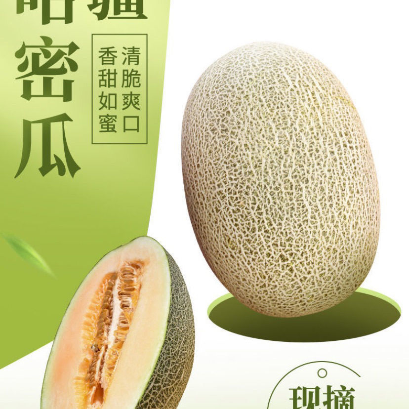 正宗海南哈密瓜西州蜜香妃小蜜25号四季甜瓜新鲜热带水果现摘批发