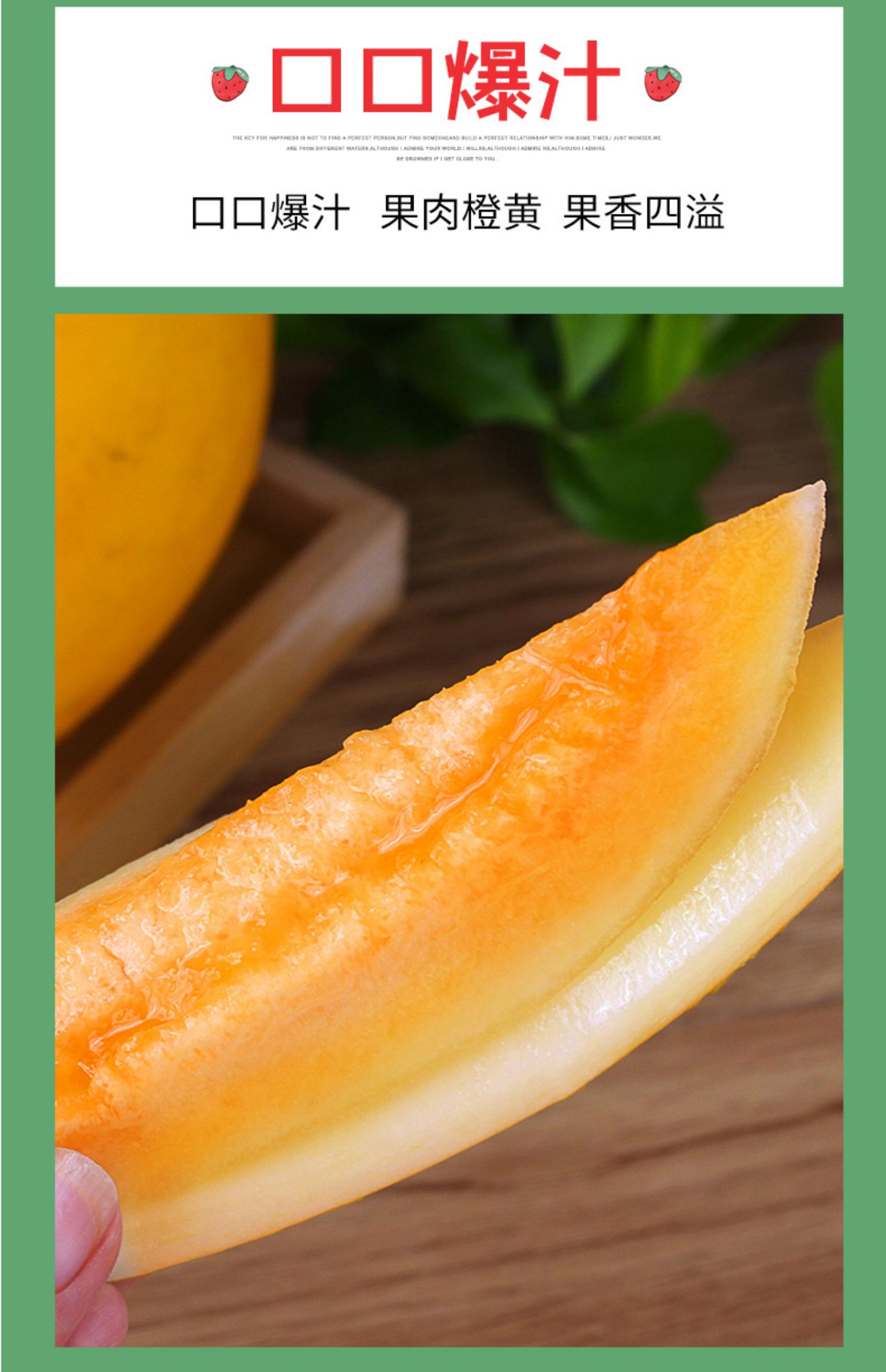 甘肃黄河蜜瓜 民勤应季新鲜甜瓜黄金瓜网纹瓜现摘哈密瓜 【10斤】精品