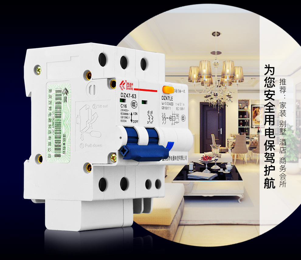 西野(share)断路器2p带漏保2p小型断路器带漏电保护器 家用总闸总开关