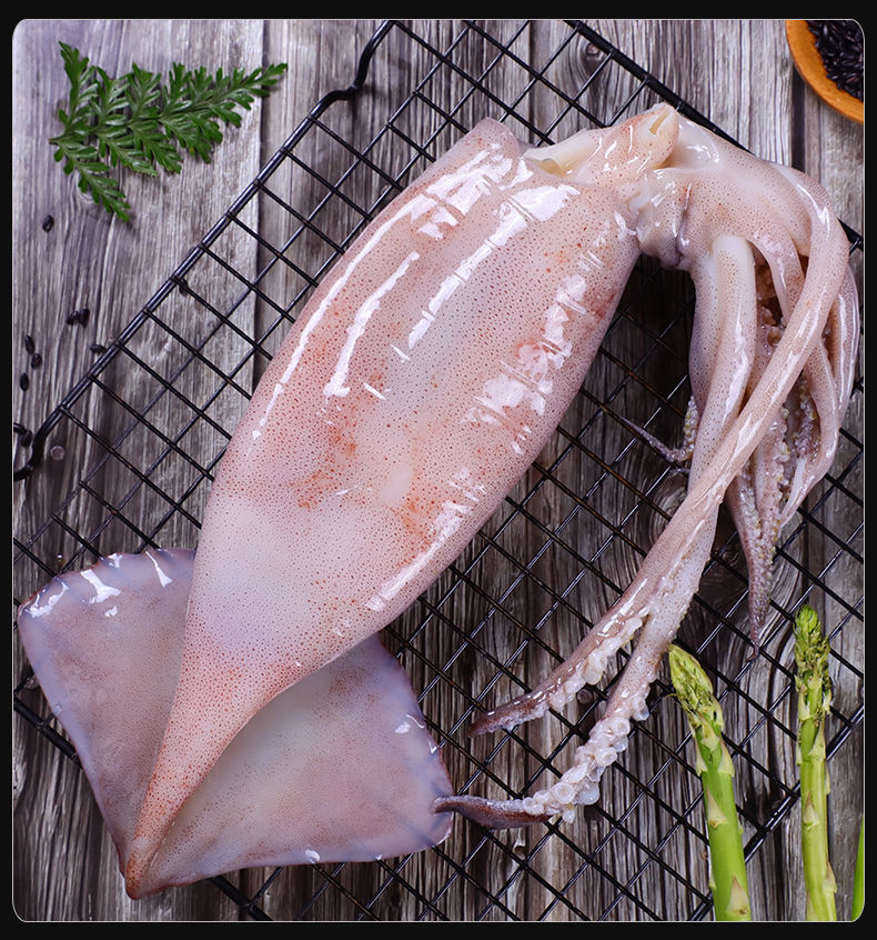 超大鱿鱼鲜活冷冻冻新鲜鱿鱼深海野生大鱿鱼生鲜海鲜水产 稀缺超大鱿