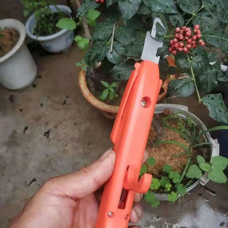 摘花椒非神器采摘花椒采摘机剪工具拇指方便省力不伤树 红色款采摘器