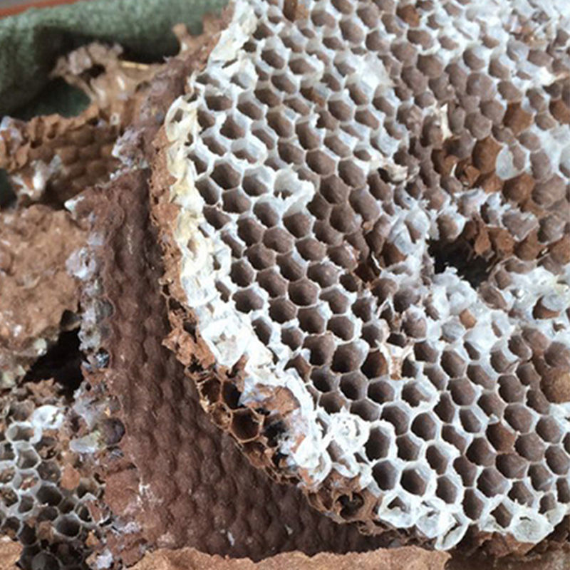 山蜂房 中药材 胡蜂巢 马蜂房 野蜂房 蜂房粉 250克 蜂房粉 250克