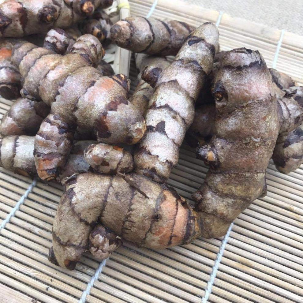 广西新鲜小黄姜泰国姜黄nghecu黄姜月子姜小指姜红姜产后调理1斤小