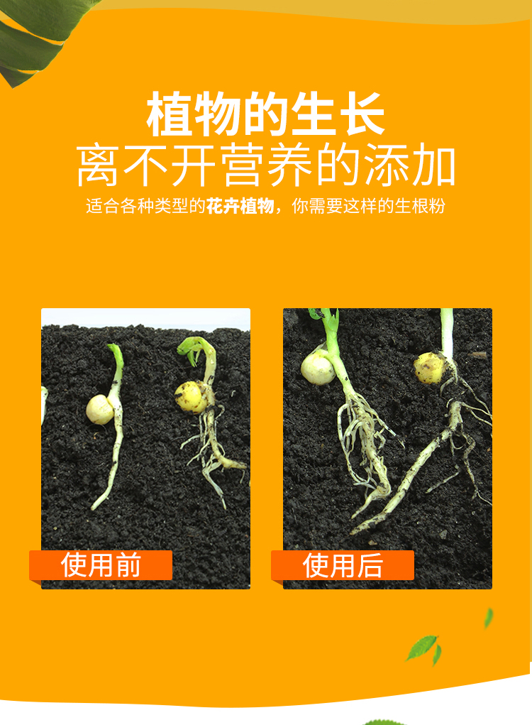 生根粉花卉植物通用移栽扦插展叶壮苗剂微量元素水溶肥快速生根液星花
