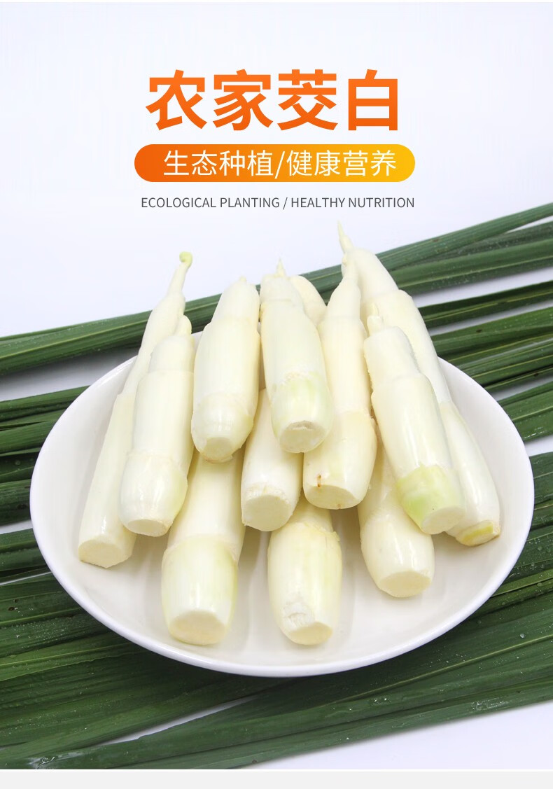 茭白筍茭兒菜農家蔬菜孕婦食用高筍2500g