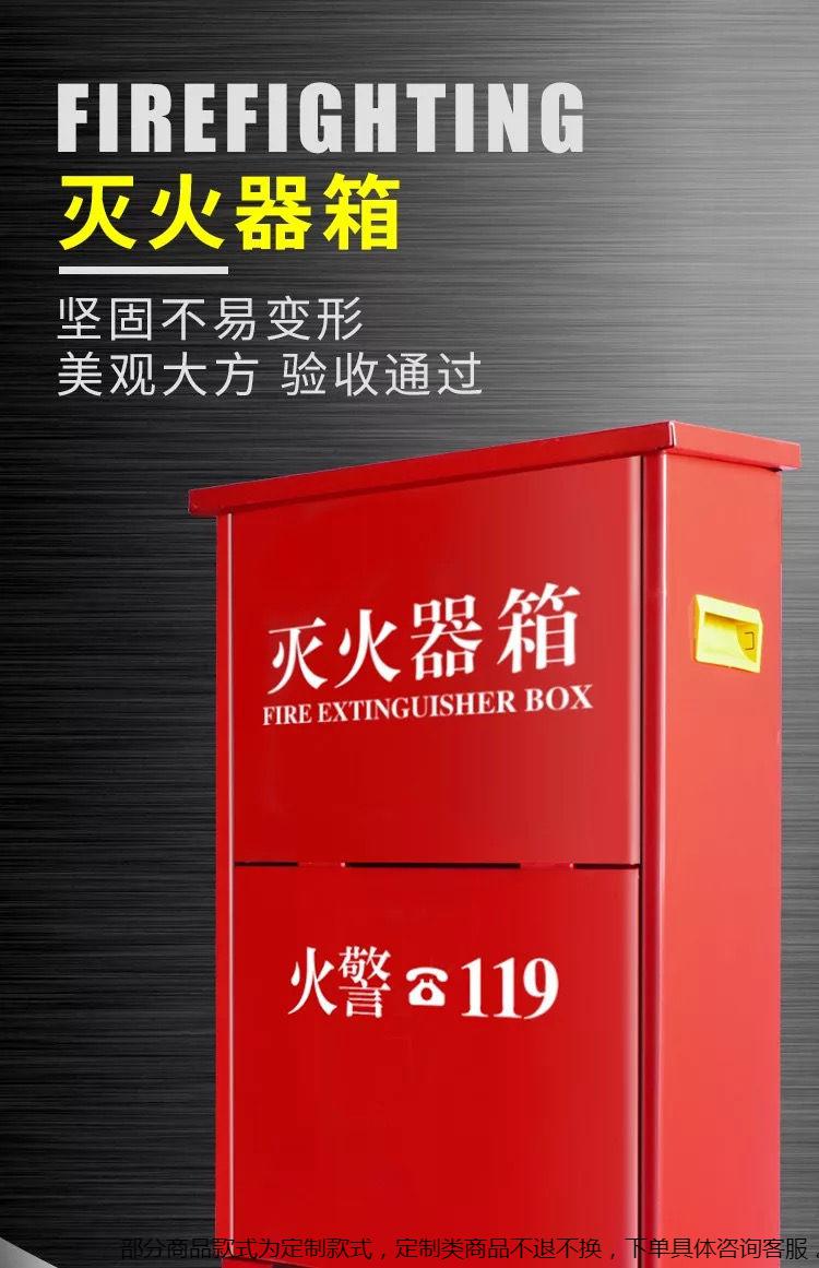 水基型灭火家用 灭火宝 汽车灭火瓶 干粉灭火器二氧化碳箱子套装消防
