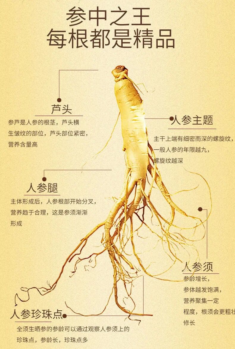 官方旗舰长白山人参500克干人参东北特产人参须整盒多规格白参片煲汤