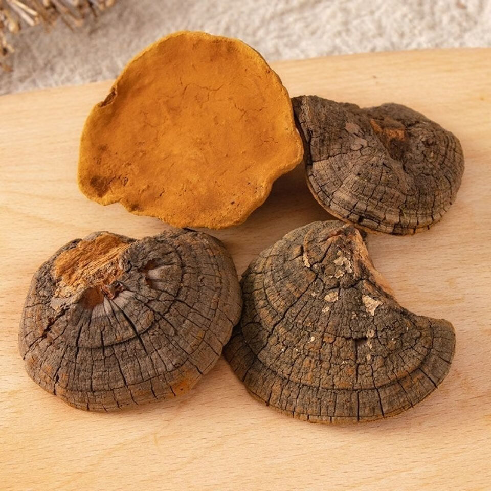 桑黄金边桑黄桑黄菌桑黄灵芝干品桑黄 250克【图片 价格 品牌 报价】