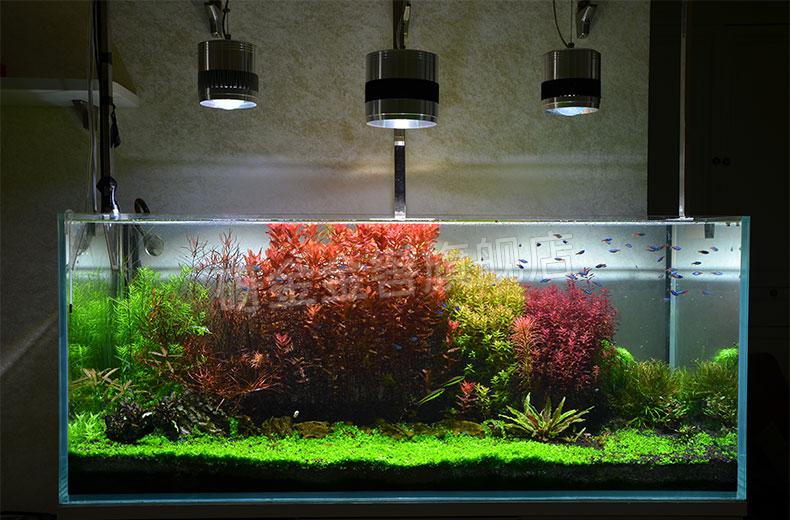 尼特利灯盘尼特利水草灯筒灯at1神灯at3支架led光谱at2鱼缸灯盘泥特利