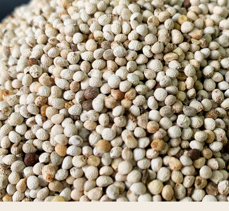 新白苏子鸟食鸟粮 软壳苏子鹦鹉