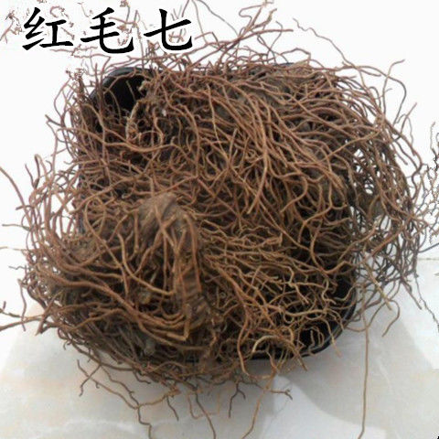 中药材红毛七500红毛漆金丝七红毛三七鸡骨升麻海椒七【图片 价格