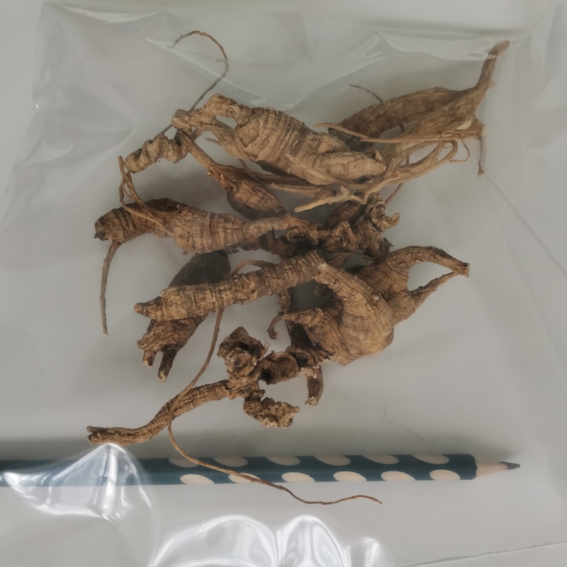 中秋送礼30年高龄纯正美国野生花旗参西洋参原丛泡洋山参整支老参 30-