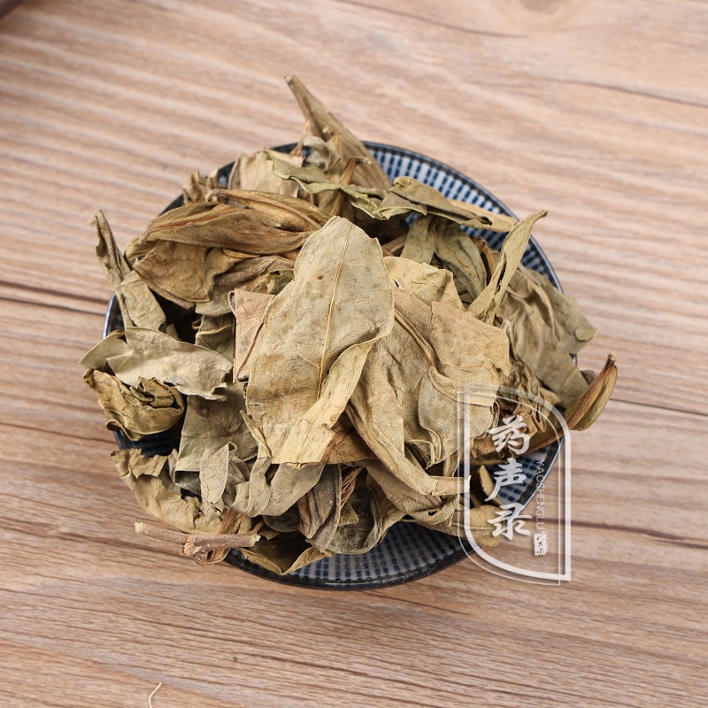 药声录 中药材 龙利叶 龙俐叶龙脷叶 龙舌叶龙