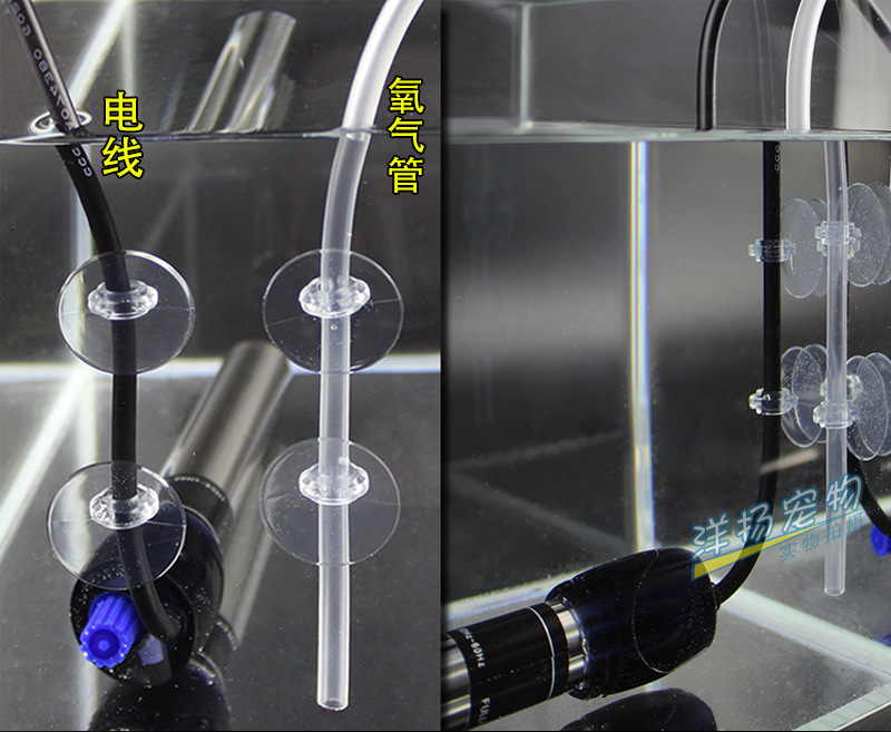 鱼缸氧气管固定吸盘温度计增氧泵电线吸盘强力吸盘4mm开口吸盘吸盘10