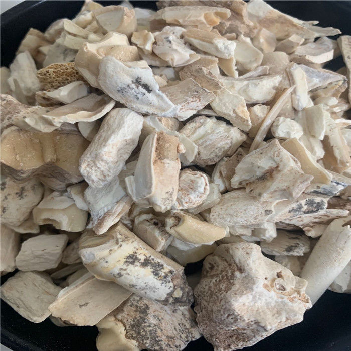 龙齿中药材 白龙齿 新货 生龙齿 另有煅龙齿 青龙齿 【500g实惠装】