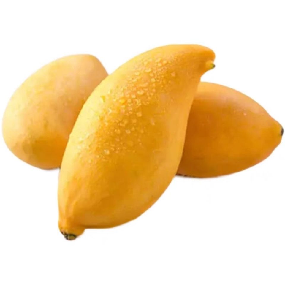 云南鹰嘴芒套袋象牙甜芒果新鲜带箱小核多汁香甜无丝 3斤中果(尝鲜)【