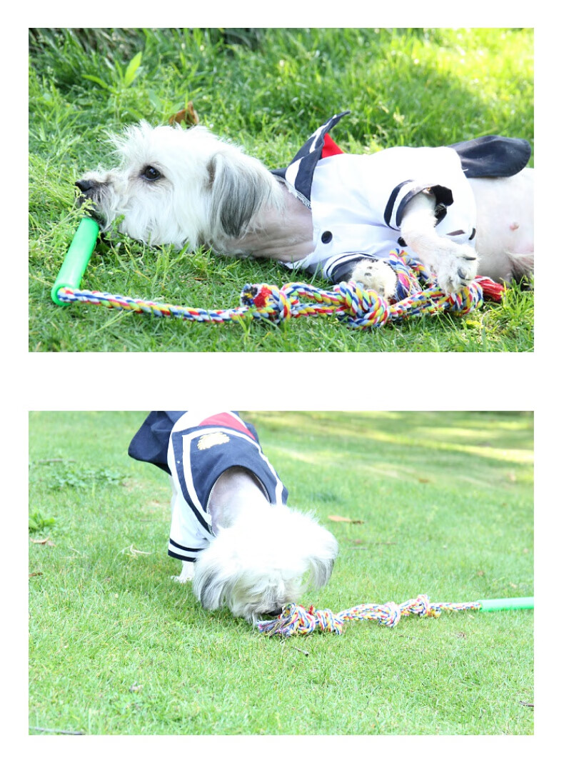 逗狗棒消耗体力斗狗棒德牧马犬训练咬布道具狗狗训练棒训练器用品 逗