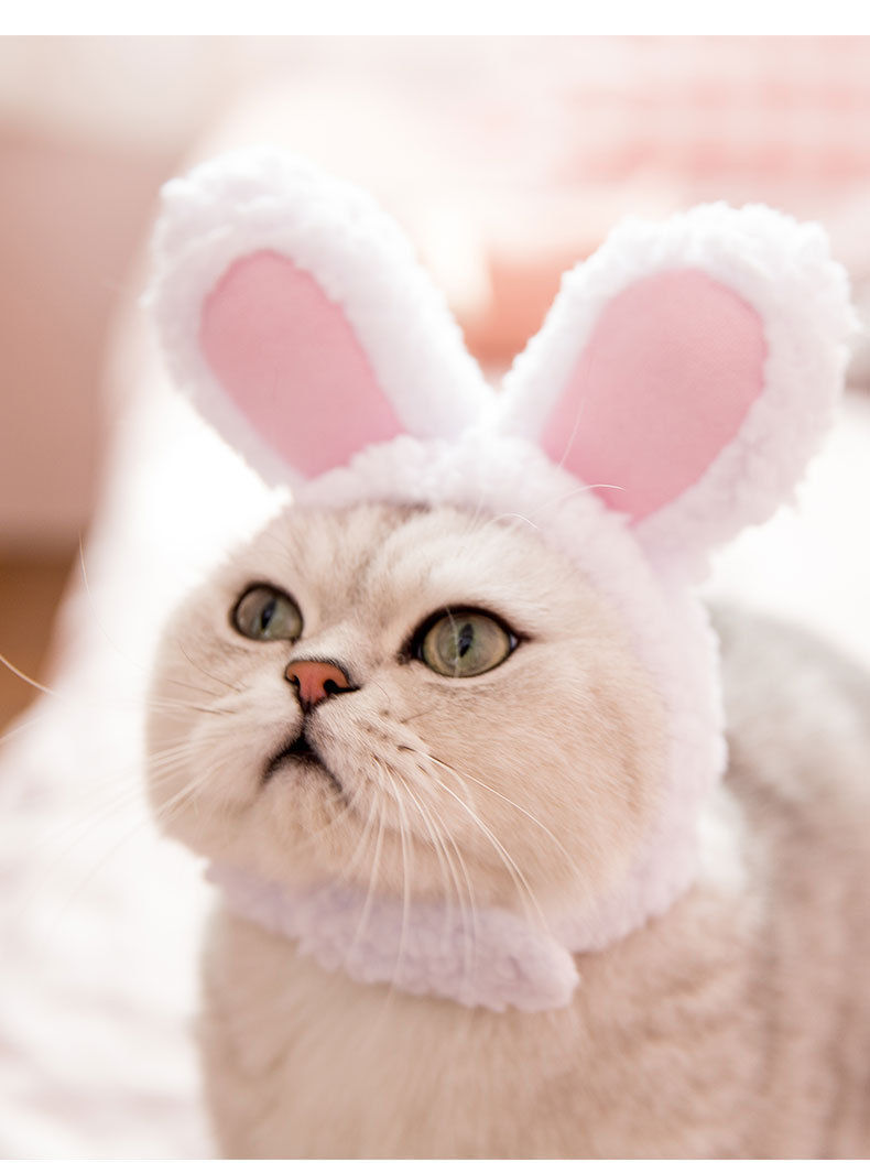 抖音网红宠物猫咪兔子耳朵头套保暖帽子可爱搞怪拍照头饰猫咪头套兔子