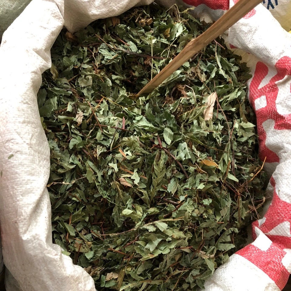 伟博中药中药材半边旗半边蕨单片锯半边牙半边梳半边风药500克