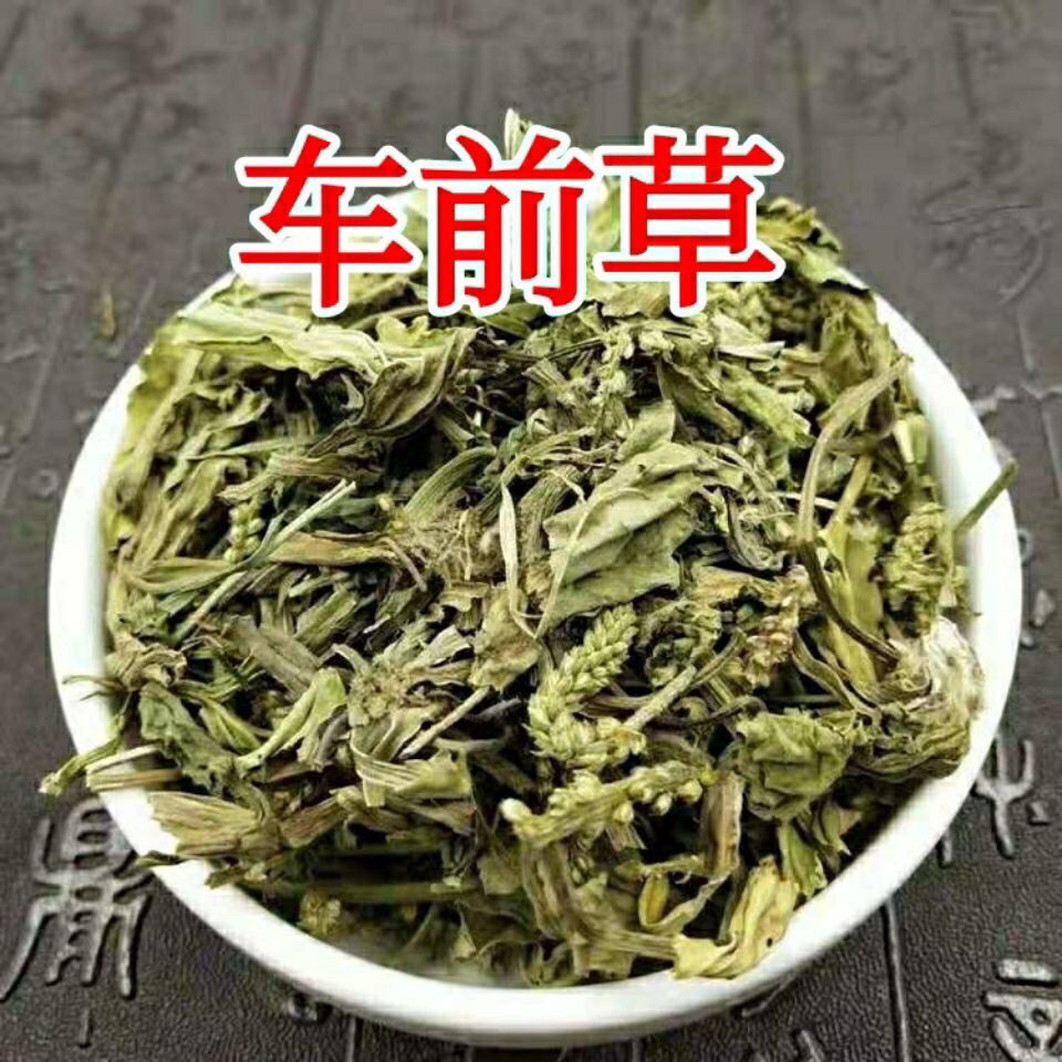 车前草干车前草茶晒干车轮菜切片精选可泡茶车前草切片250克