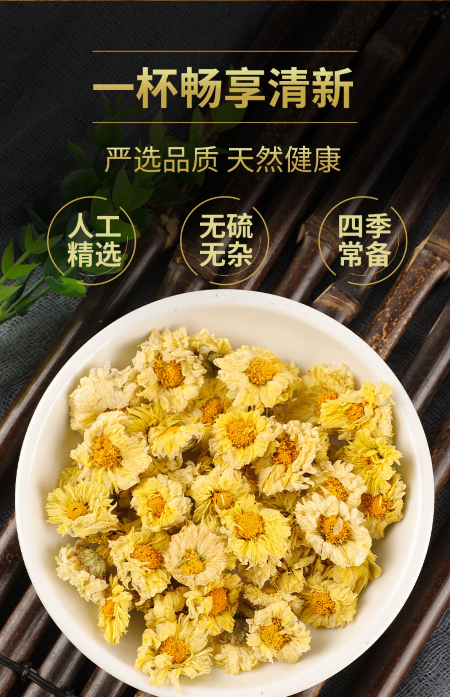 橙伯乐 正宗杭白菊500g克新花桐乡抗杭菊野生菊花茶一级 杭白菊500克