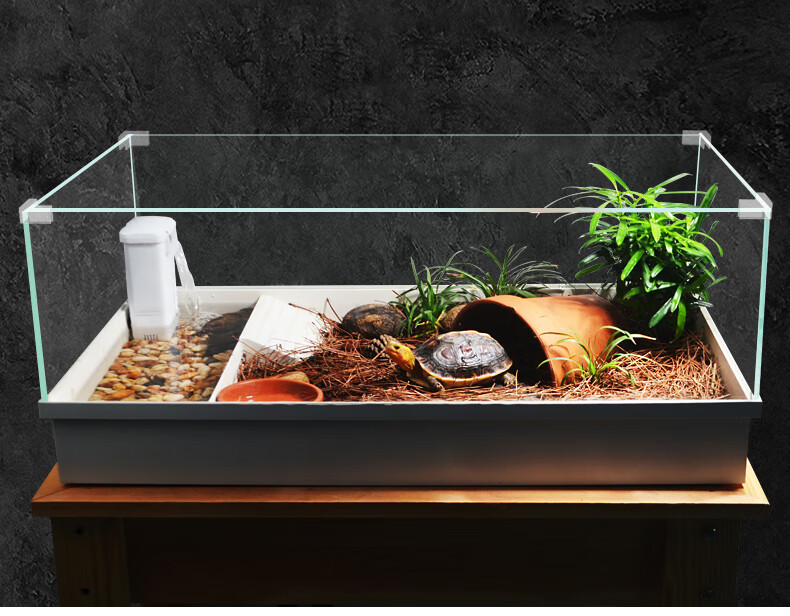 【可开票】黄缘饲养龟箱玻璃专用水陆缸安缘半水龟生态造景植物养殖箱