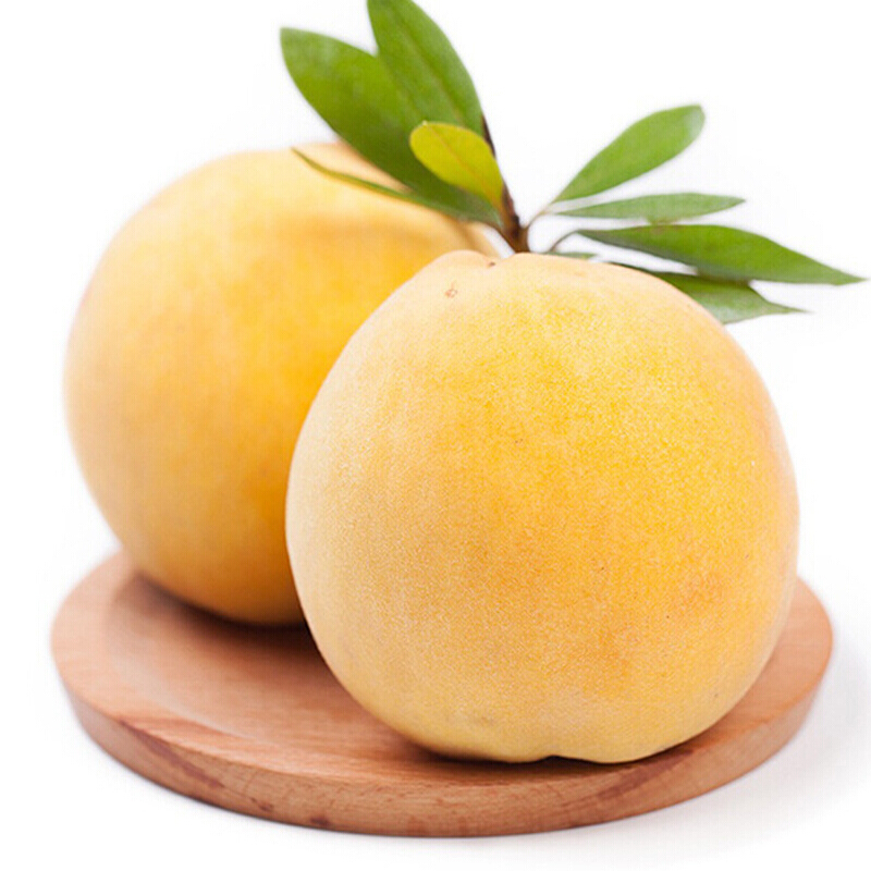 三湖锦绣黄桃中大果红心桃子现摘生鲜礼盒团建活动商务送礼24个礼盒装