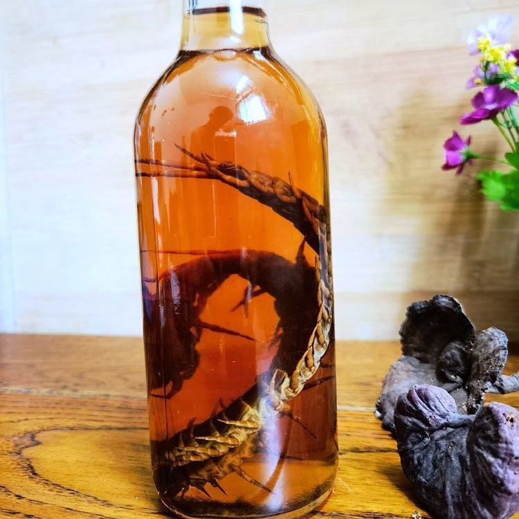 伟博蜈蚣酒活泡蜈蚣酒5年蜈蚣酒活泡蜈蚣酒5年