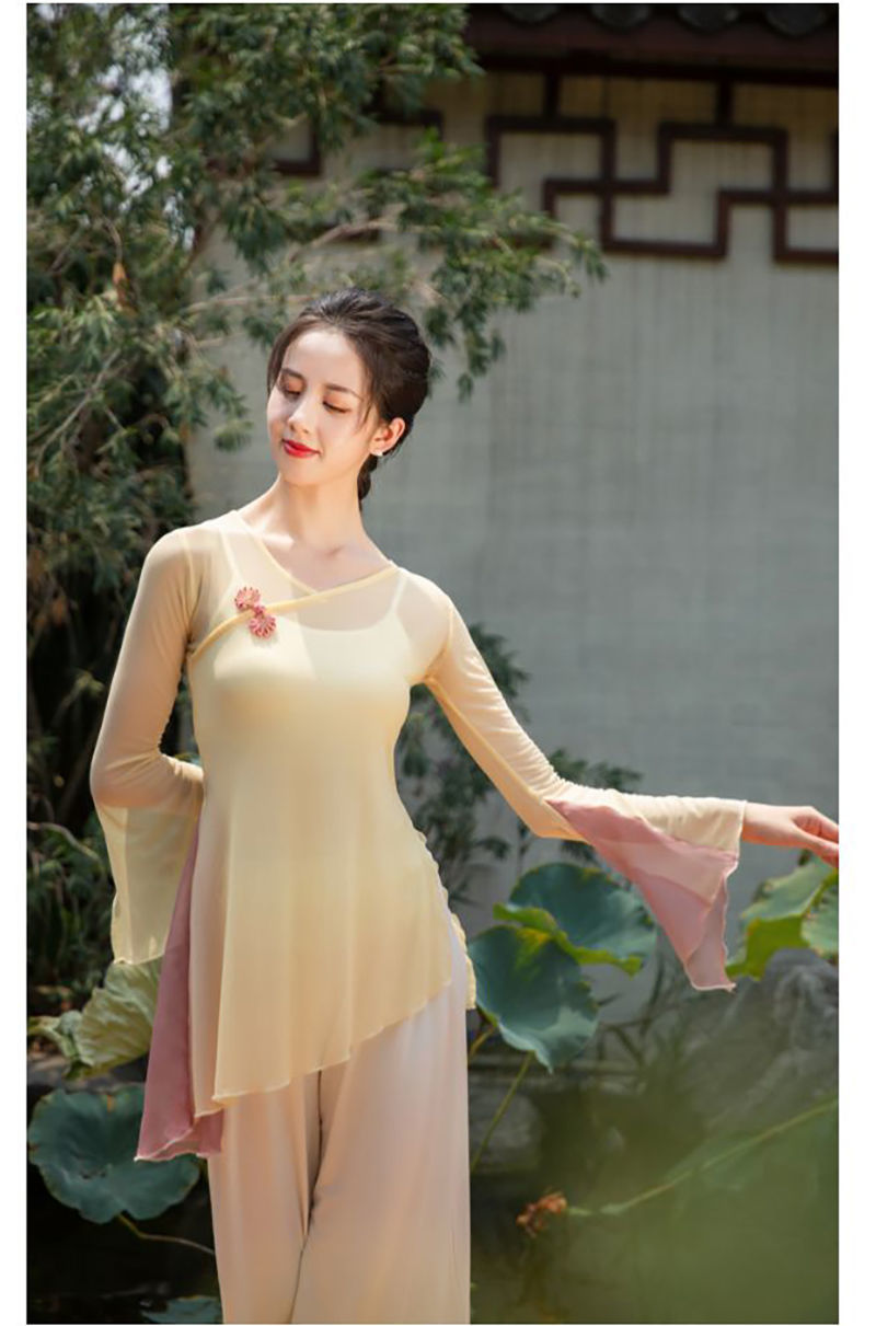 新品中国舞舞蹈服成人古典舞民族现代舞演出练功服上衣女成人纱衣舞蹈