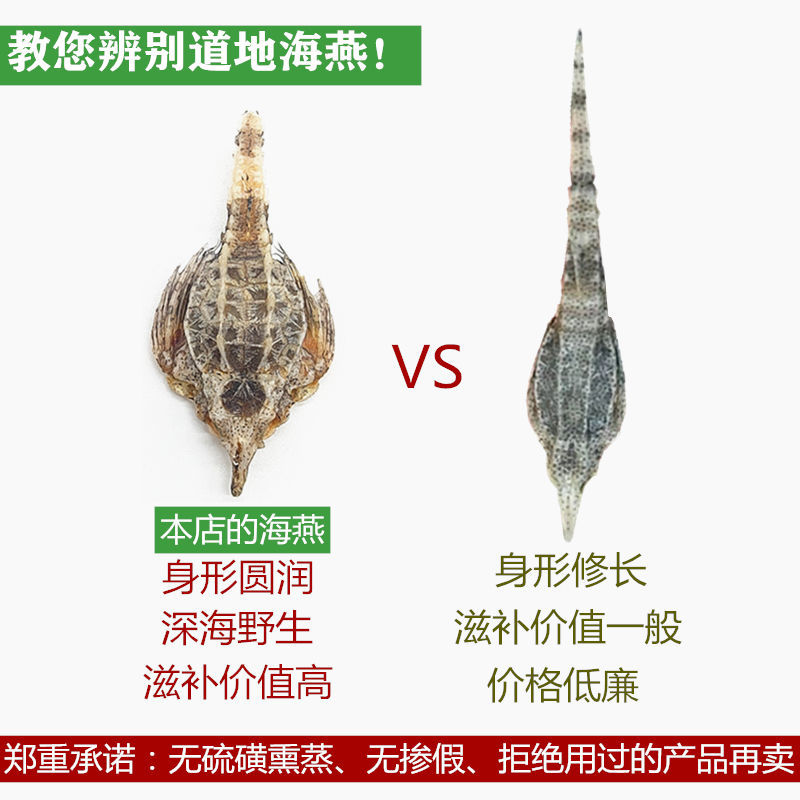 海燕的功效与作用图片