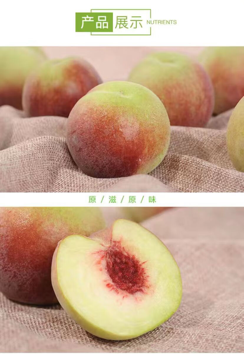 山东青州蜜桃秋桃毛鲜蜜桃现摘现发脆甜桃子毛桃一件 果农甄选5斤大果