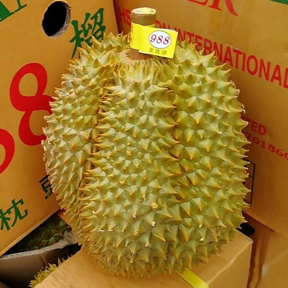 适用于 10斤泰国金枕头榴莲a果新鲜孕妇水果 3-4斤精选果(4-5房肉)