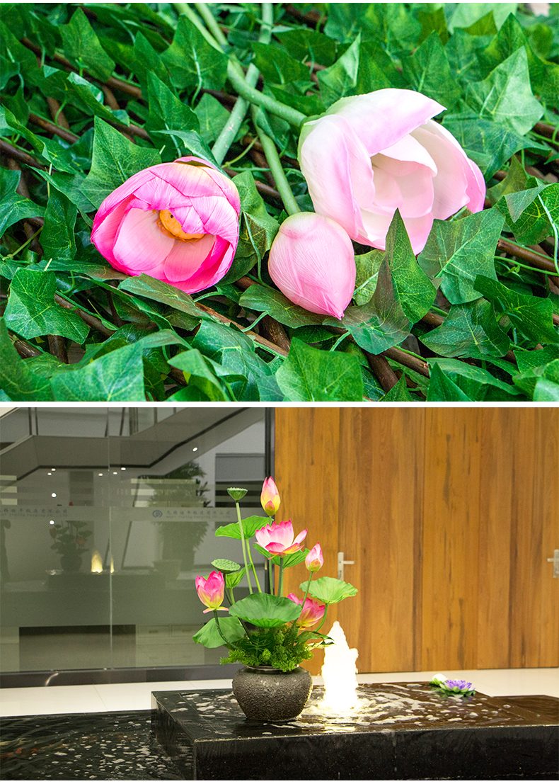 过胶荷花品牌:雷帕汀加入购物车本店好