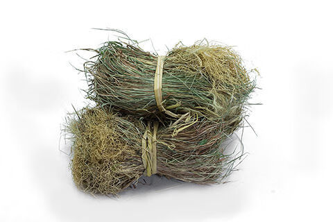 中草材金丝草猫毛草日晒干散装 金丝猫毛草500克【图片 价格 品牌