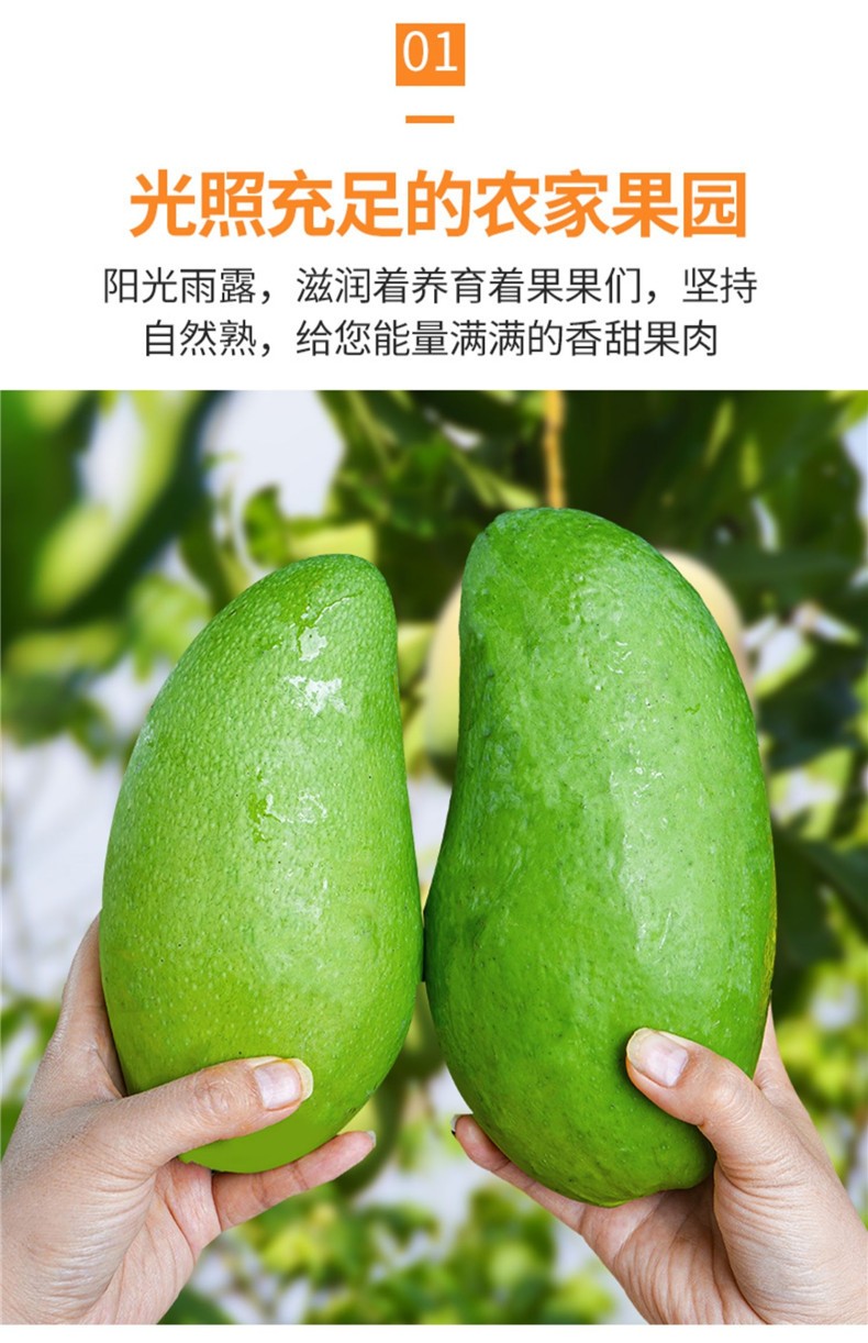 321-芒果生鲜 越南大青芒果 应季新鲜采摘 进口热带水果 越南大青芒 10斤净重9斤单个200-400克-详情图