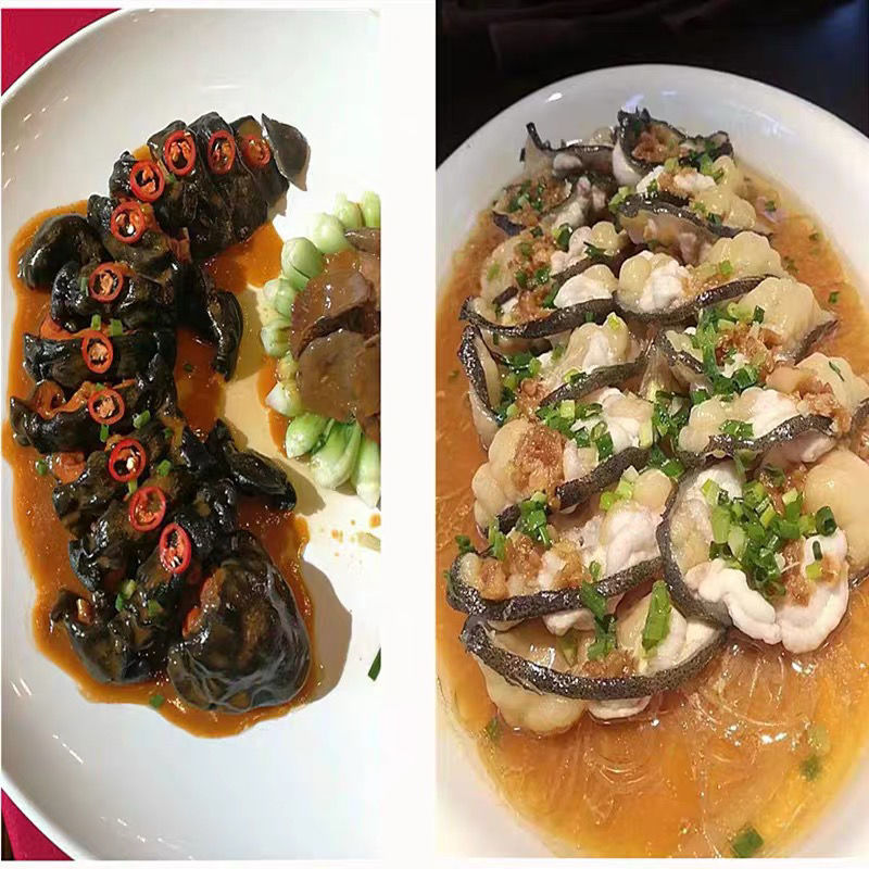 娃娃鱼鲜活人工养殖活体大鲵火锅食材淡水鱼类生鲜 华奥薇斯 图安贝里