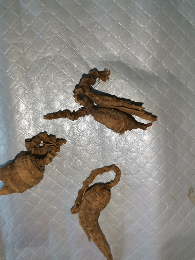 百年美国正宗花旗参野生老原尾泡参西洋参整枝 看实物图￥*浏览宝贝