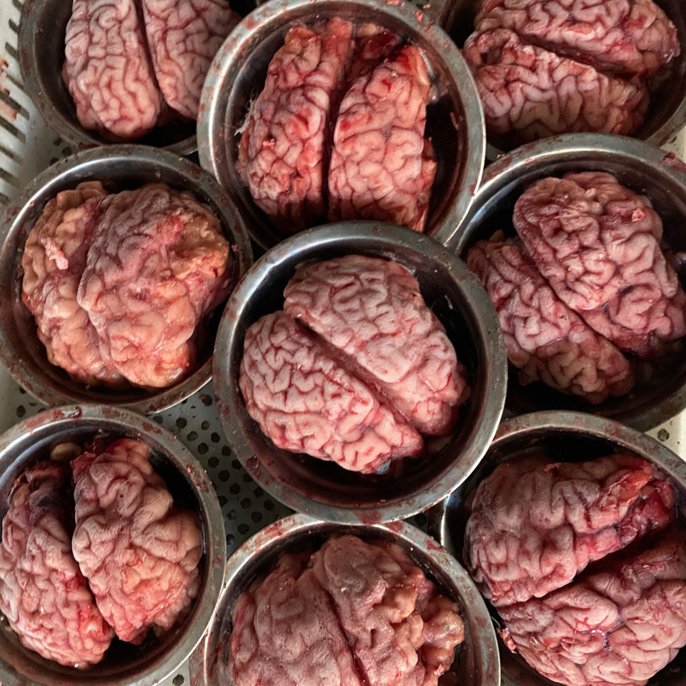 牛脑花新鲜现宰牛脑子真空包装冷冻发货牛脑涮火锅火