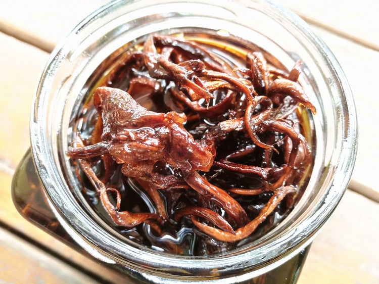 伟博真材实料云南特产野生鸡枞菌油鸡枞油野生菌菇鸡棕油开盖即食1280